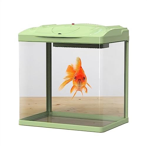 KKXXYQFC Aquarium, grünes Aquarium, ökologischer Desktop-Aquascape-Tank, kein Wasserwechsel, Goldfisch-Glastank mit LED-Leuchten, kleiner Heimtank mit Wasserpumpe