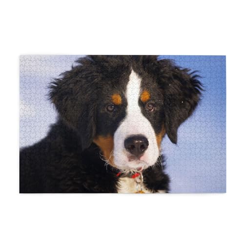 Berner Sennenhund, Puzzles 1000 Teile Holzpuzzle Spielzeug Familienspiel Wanddekoration