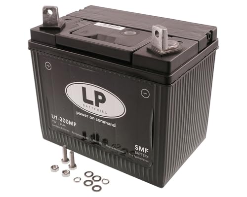 U1-300MF LP Rasentraktorbatterie SMF 12V/24Ah 300A 53034 sofort betriebsbereit