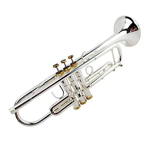 Professionelles spielen Trompete Musikinstrument versilbert integriertes Horn handgraviert