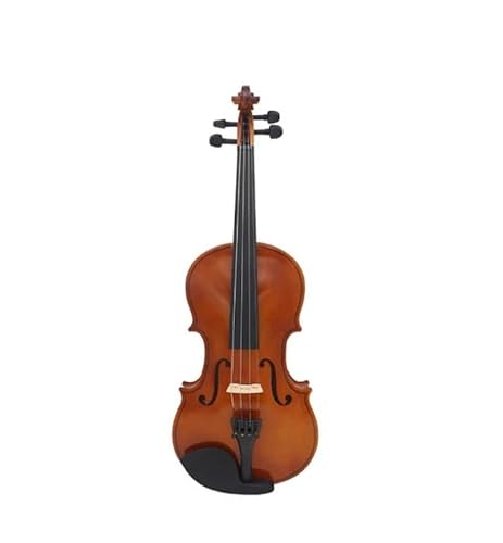 Standard Violine 4/4 Violinenset Hartschalenkoffer Bogen Schulterstütze Stimmgerät Griffbrettaufkleber Zusätzliche Saiten(B-Natural)