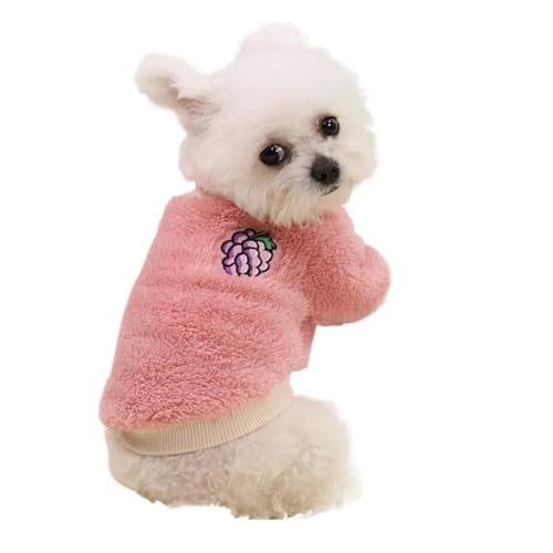 Hundekleidung für kleine Hunde, warme Kleidung, passend für Hunde, Mantel, Welpen-Outfit, Haustierkleidung, passend für kleine Hunde, Kapuzenpullover, Chihuahua (Einfarbig, M für 2–3 kg)