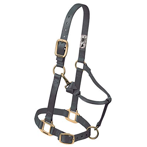 Weaver Leather Original Pferdehalfter, verstellbar, Nylon, Unisex-Erwachsene, Original Adjustable Chin and Throat Snap Halter, 1" Small Horse, Graphit, Small Horse