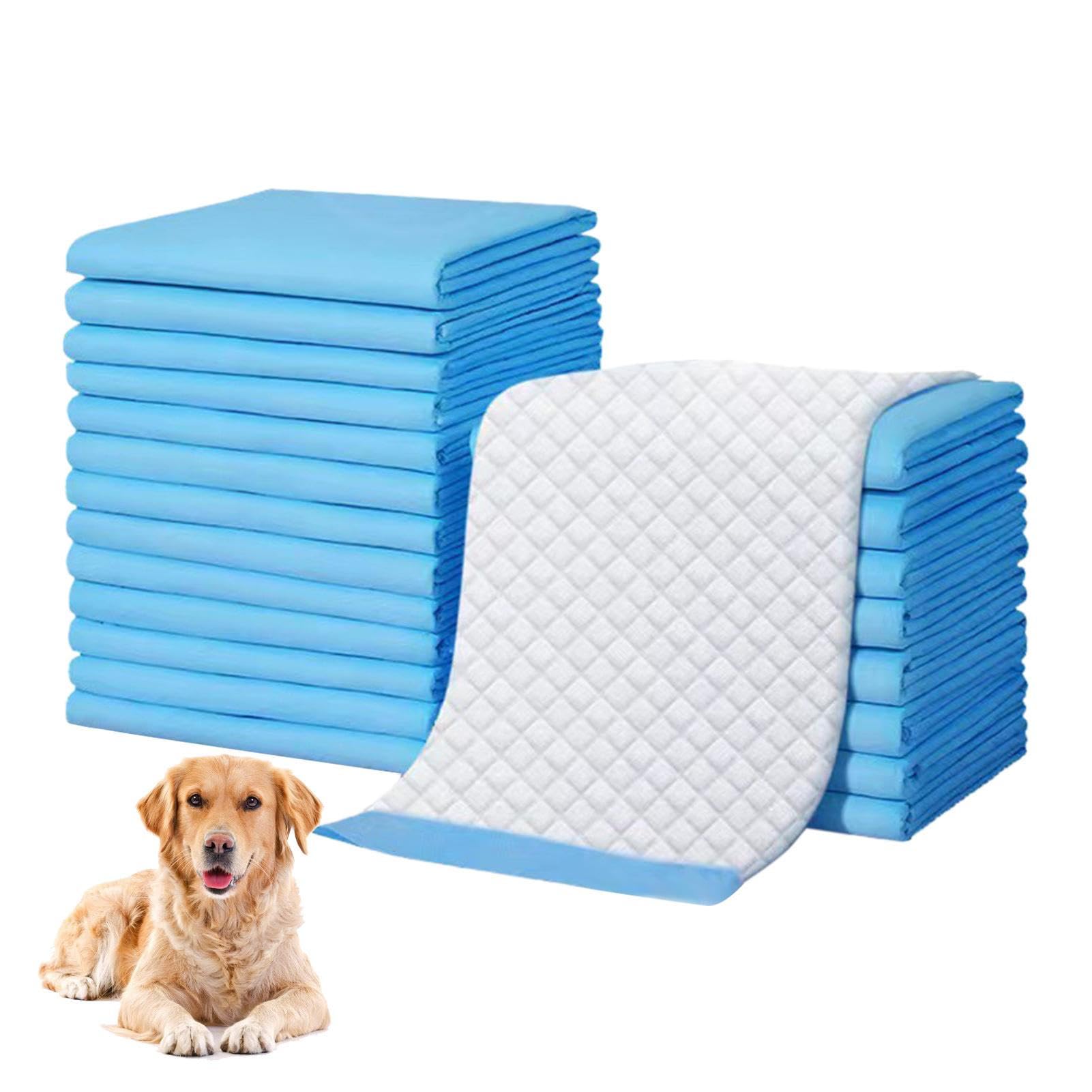 Pinkel-Pads für Hunde – 50/100 Stück Töpfchen-Trainingspads für Haustiere, auslaufsichere Töpfchen-Pads für Hunde, rutschfeste Welpen Pipi Pads, Boden Pipi Schutz Trainingspads für Hunde, Töpfchen Pad