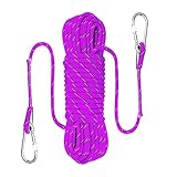 QHY Kletterseil 10mm Hochfestes Sicherheitsseil Rettungsseil Mit Karabiner Statisches Kletterseil Allzweckseil Festmacherleine Heavy Duty Seil Leine Outdoor (Color : Purple, Size : 30m*10mm)