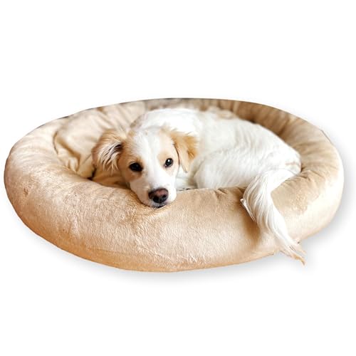 4L Textil Buzzy weiches Hundebett Klein Hundesofa für kleine Hunde Hundekorb beige Katzen Bettchen katzenkissen waschbar Gemütliches Haustierbett Hunde Kuschelbett(60x55 cm, Beige)