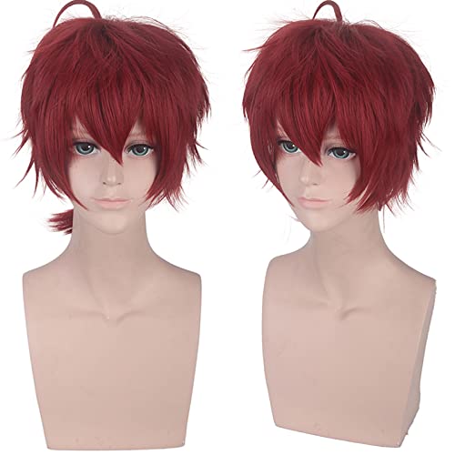 LINLINCD-Wig Anime Cosplay Perücke for Fasching Nachtleben CluI Party Dress Up Perücke Perücke Violett Evergarden Violett Lange Glatte Haare Hawkins Burub Gambili Farbe: Violett Double Twist