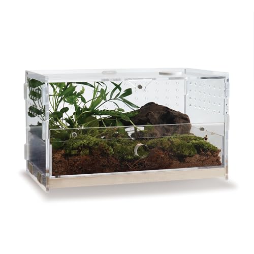 WBHONGHUI Transparentes Terrarium für Reptilien, Acryl, mit Riegel, perfekt für Amphibien und Wirbellose wie Spinnen, Frösche usw. (horizontales Holz, klein)