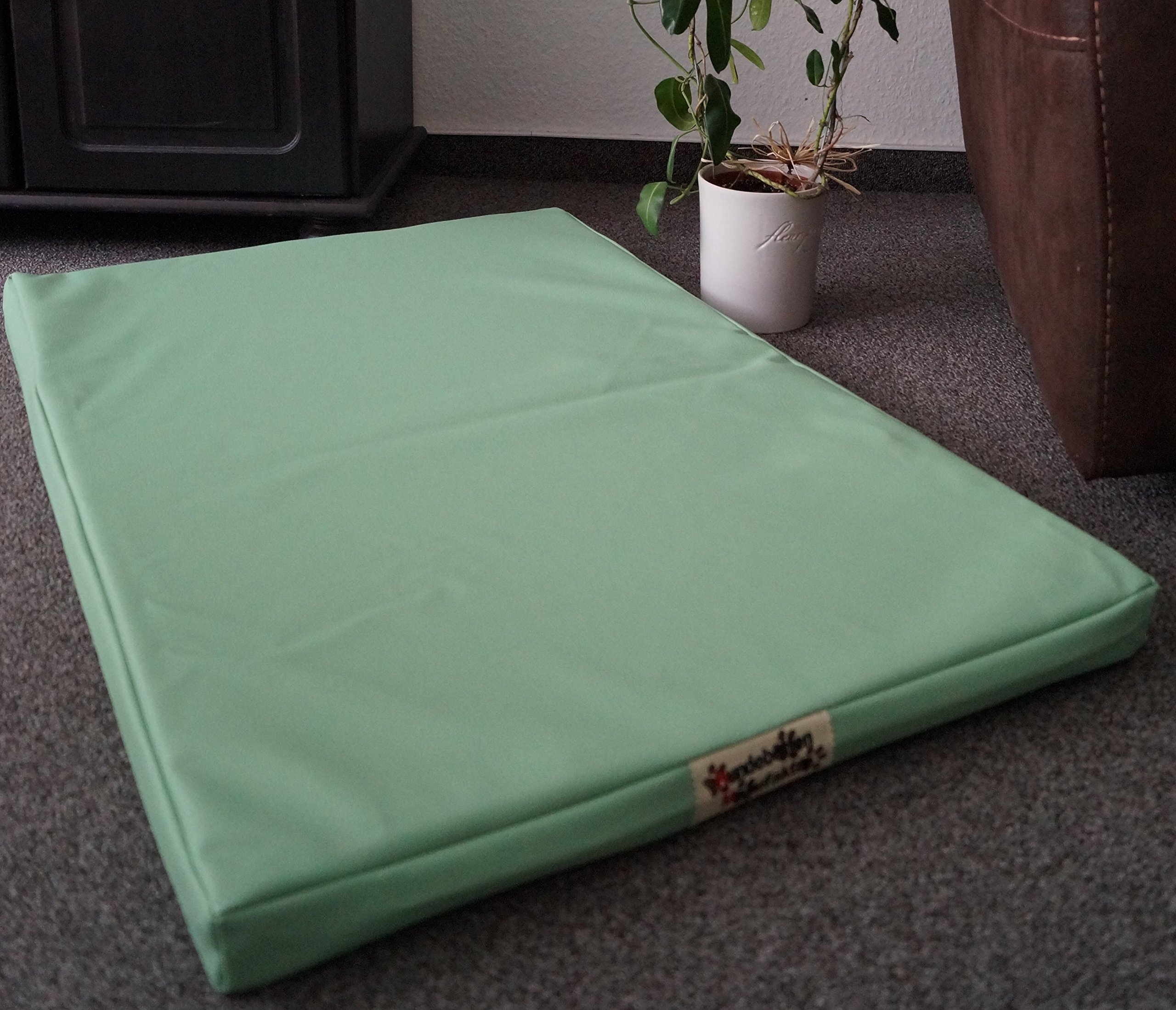 Hundebettenmanufaktur Orthopädische Hundematratze mit antiallergischer Kokosmatte Hundebett Kunstleder Größe und Farbe wählbar (90 cm X 60 cm, mintgrün)