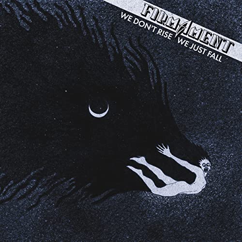 We Don'T Rise,We Just Fall (Black Vinyl) [Vinyl LP]