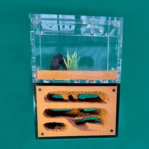 Gips Ameisenhaufen Unbegrenzte Erweiterung Ameisennest Insektenkäfig Display Box Insekt Villa Ameisenfarm Educational Formicarium Für Haus Ameisen Geburtstagsgeschenk (Color : D)-1