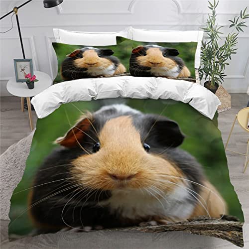 Meerschweinchen Bettwäsche 135x200cm 3D Drucken Meerschweinchen Bettbezug Set für Jungen Mädchen Teens Kinderbettwäsche Mikrofaser Weiche Luxus Bettwaren Raumdekor 3-teiliges +2 Kissenbezug 80x80