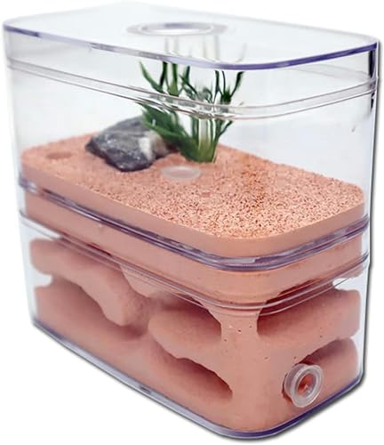 Ameisenfarm Ameisen Haus Gips Insektenvilla Ameisennest Ameisenhaufen Werkstatt Ant Nest Kit Formicarium Display Box-1