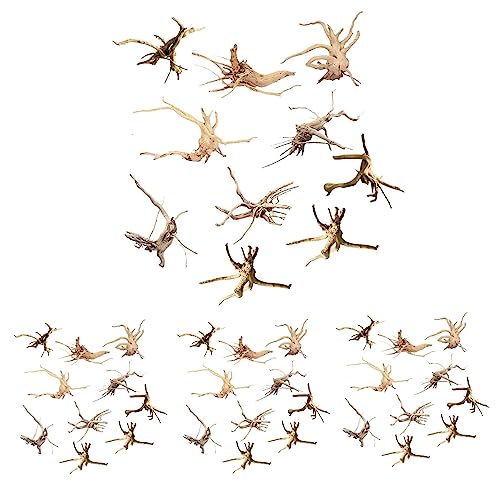 HALIYY Mini Treibholz für Aquarium Natur Zweige Aquarium Dekorationen Reptilien Stamm Treibholz Sortiert (40 Pack)