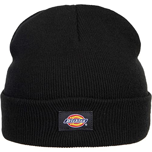 Dickies Gibsland Beanie (OS, Black)