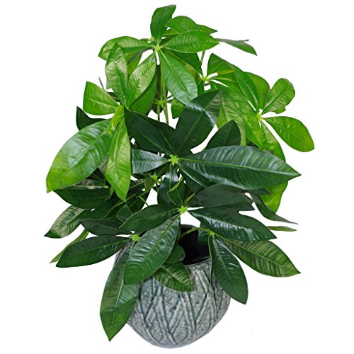 Leaf Design UK Künstlicher Blumentopf aus Kunststoff, 50cm Money Tree Plant, Schwarz, LEAF-7071