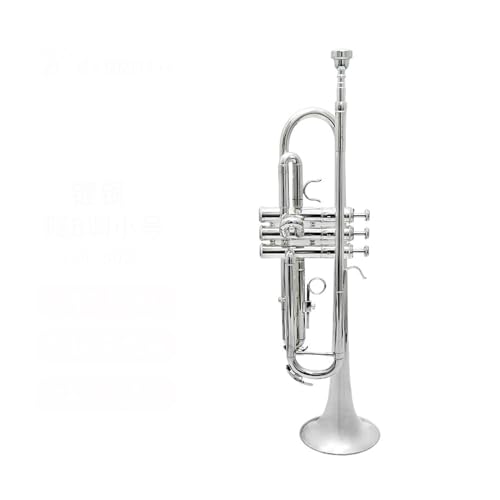 Standard Trompete Versilbertes B-Trompeteninstrument. Versilbertes Trompeten-Blechinstrument für Anfänger