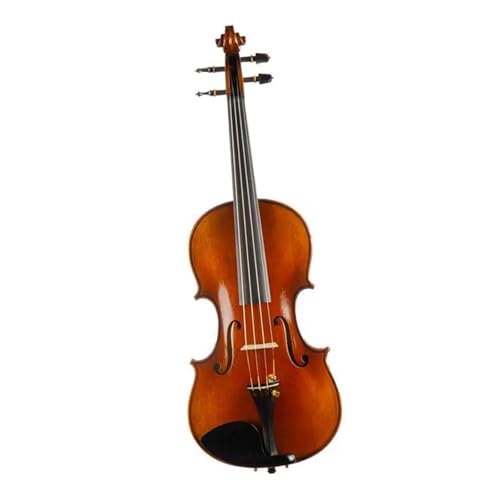 Standard Violine Professionelle Violinen-Musikinstrumente Aus Europäischem Holz(4/4 size)