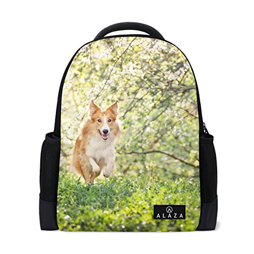 My Daily Border Collie Hund Rucksack 35,6 cm Laptop Daypack Schultasche für Reisen College Schule