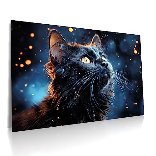 Schwarze Katze - Leinwand Bild - Wandbild aufhängefertig XXL Leinwandbild Kunst Druck Deko Bilder Modern Art Wohnzimmer (60 x 40 cm, Leinwand auf Keilrahmen)