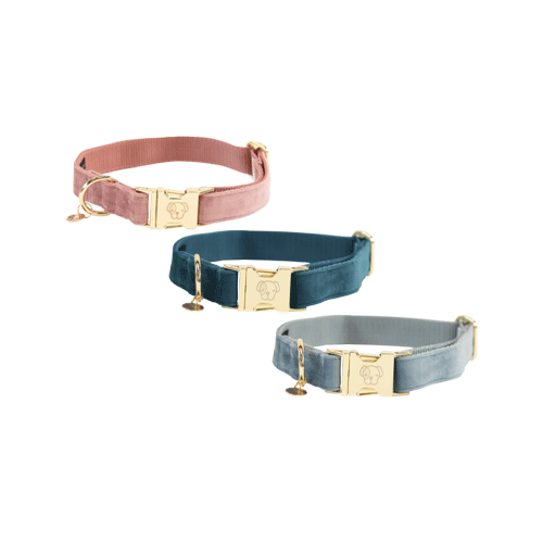 Kentucky Halsband Dog Collar 'Velvet' - Old Rose, Größe:M