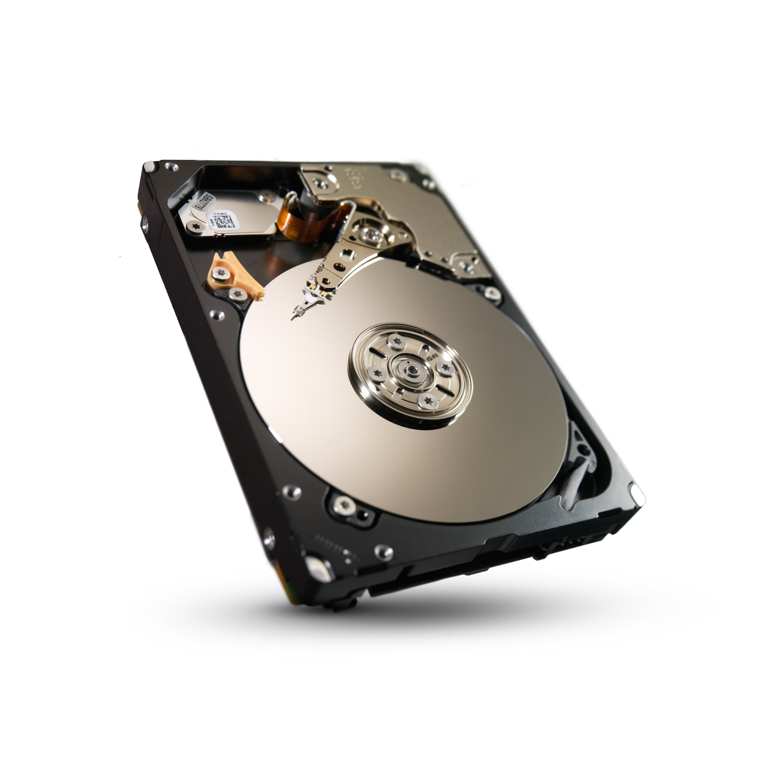 SEAGATE Enterprise Performance 10K 450GB HDD 10000