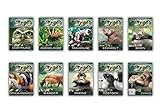 Abenteuer Zoo - Deutschland / Europa - 10er DVD-Package