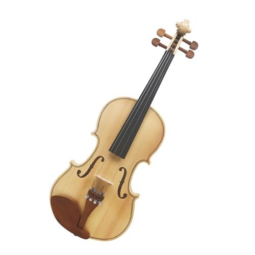 Geige 4/4 Akustische Violine Holz Farbe Ahorn PanelFiddle Mit Fall Bogen Saiten Schulter Rest Tuner Tuch (Color : Set 2)