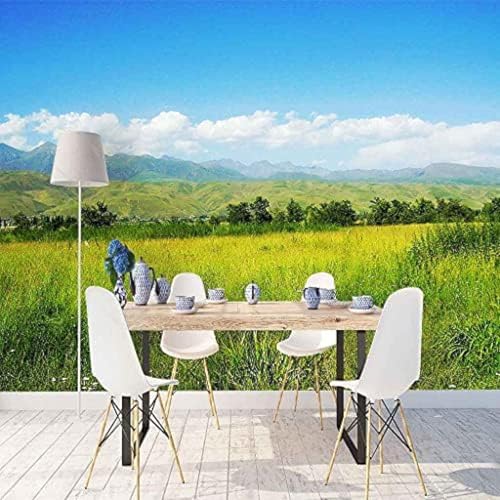 XLMING Grünes Gras Landschaft Küche Esszimmer Arbeitszimmer Wohnzimmer TV Hintergrund Wand 3D Tapete-250cm×170cm