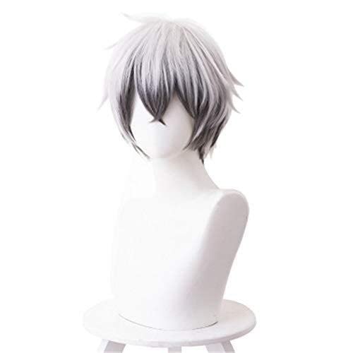 LINLINCD-Wig Anime Cosplay Wig for Cosplay Anime Game Arknights Mephisto Cosplay Wig Black Grey Gradient Synthetic Wig for Halloween Party Costume Wigs