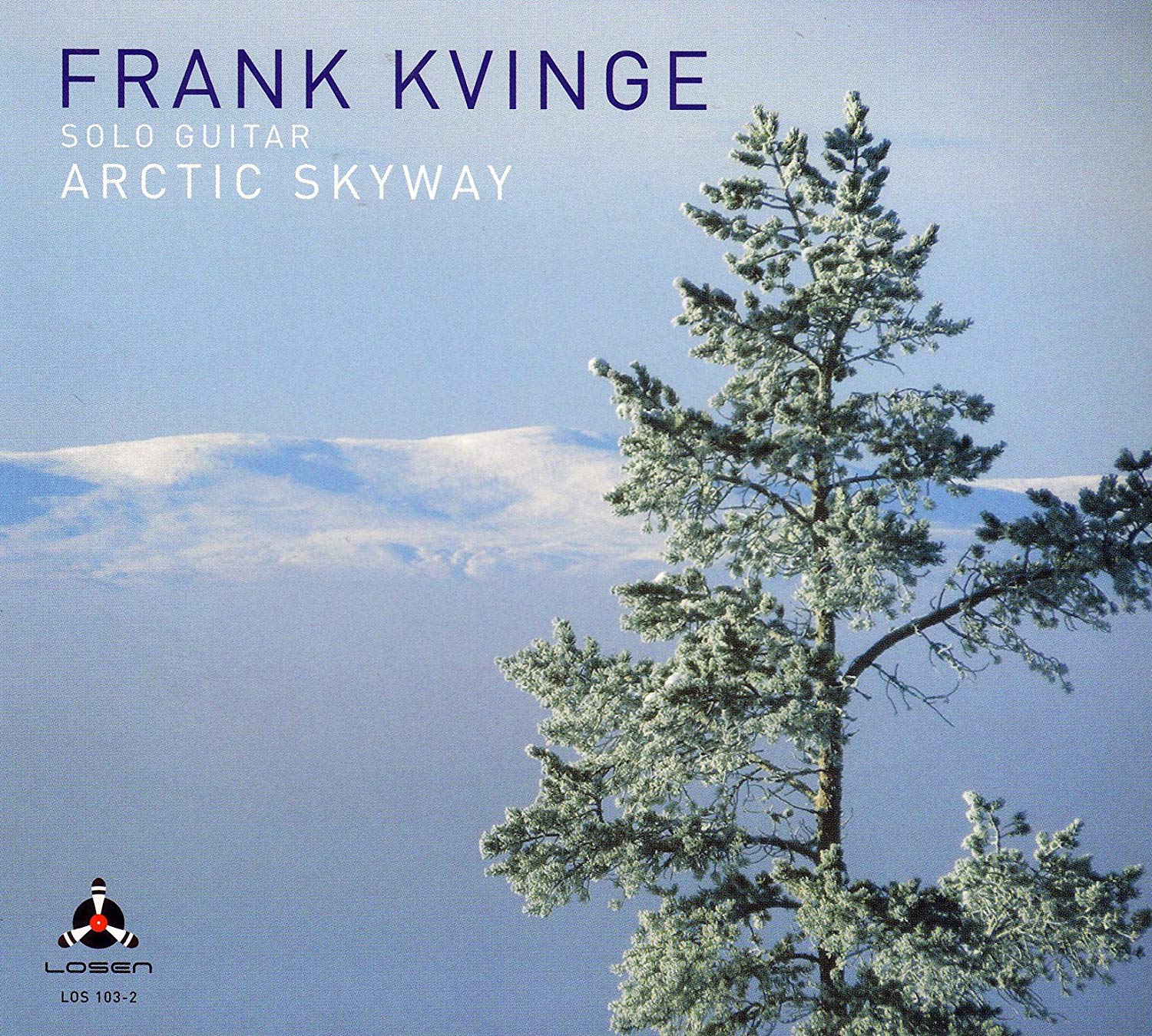 Artic Skyway