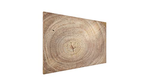 ALLboards Metallische Magnettafel BAUMSTAMM NATUR BAUMKERN 60x40cm MetalBoards Memoboard für jede Art von Magneten Magnetpinnwand zum Beschriften + 4 Marker, 10 Magnete und Schwamm im Lieferumfang