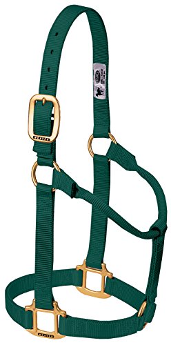 Weaver Leather Original Non-Adjustable Nylon Horse Halter, Average, Hunter Green