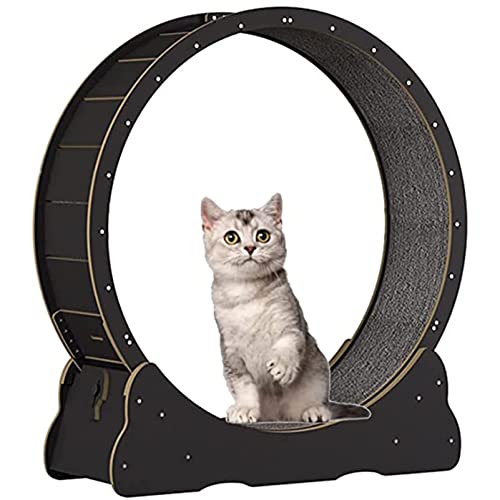 Cat Laufrad, Cat Wheel Exerciser für Indoor-Katzen, Cat Laufbandrad mit Sicherungsstift, geräuschlose TPE-Rolle, Cat Laufrad für die tägliche Fitness der Katze,Black-M