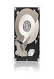 Seagate Enterprise Value HDD, Cloud-Speicher, 2 TB, 7200 U/min, 6 Gb/s, 64 MB Cache, 3,5 Zoll (ST2000NC0)