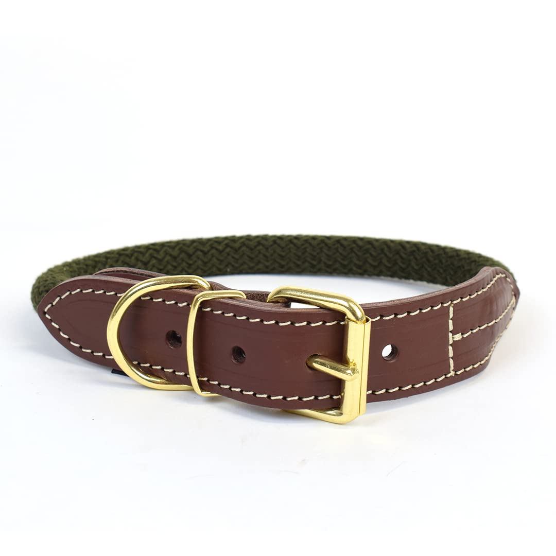 duvoplus, Explorer Forest Hundehalsband, Nylon, L, 51 – 59 cm/14 mm, Grün, Halsband