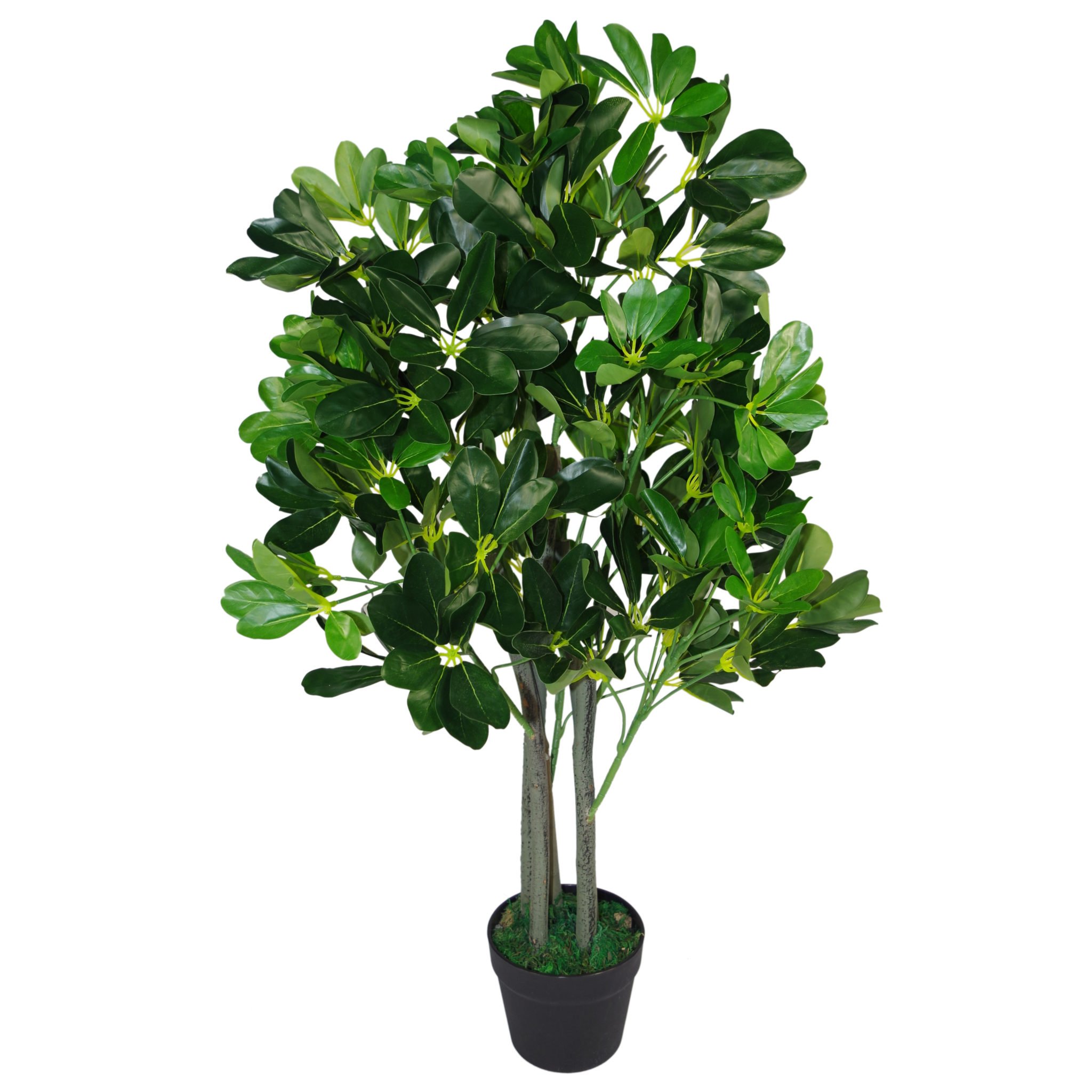 Leaf Design UK Regenschirm, 95 cm, dunkelgrün, extra groß, künstlicher Evergreen Ficus Pflanztopf, Arboricola