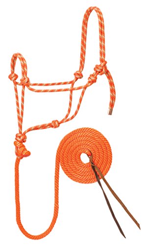 Weaver Leather Diamond Braid Halfter und Leine, Orange/Mint