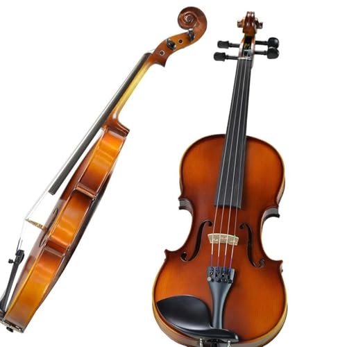 Standard Violine Geigentragekoffer Aus Ahornholz Und Ebenholzzubehör