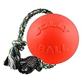 Jolly Pets toben und herum Rollen Spielzeug., Large / X-Large