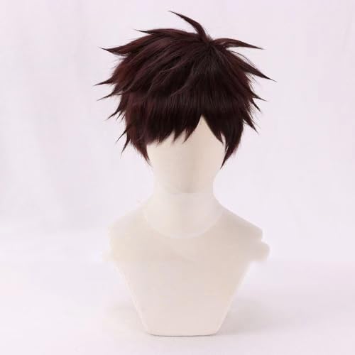 WCCNKK Anime Cosplay Perücke, My Hero Academia Overhaul Perücke, Braunrotes 30Cm Kurzes Haar, Mit Perückenkappe, Für Party Alltag Halloween Perücke Cosplay, Dekoratives Geschenk