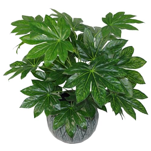 Leaf Künstliche japanische Pflanze, Schwarz, 60 cm Aralia