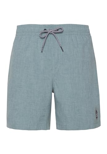 Protest Herren Beachshort Davey Arcticgreen L