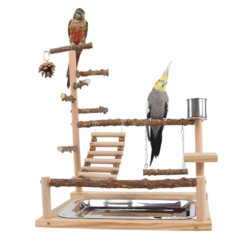 Bird Playground Naturalholz Papageienständer mit Feeder Cup Bird Perch Spiel Spiel Fitnessgottes Guardgie -Spielzeug Papageien Barch 14.6 * 10,2 * 17,7 Zoll Haustierbedarf