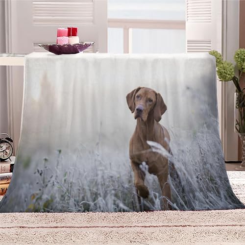 Ungarischer Vizsla-Hund Kuscheldecke Flauschig 150x200 Hund Tier Weich Sofadecke Kuschelig Decke Warm Winter Flanelldecke Wohndecke Schlafdecke personalisierte Decke Tagesdecke couchdecke