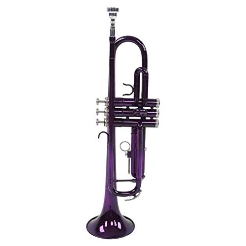 ZENGXUE Trompete Set B Flache Messing-Trompete Mit Abnehmbarem Mundstück Messing Musikinstrument Zubehör Standard-Trompetenset (Color : Purple)