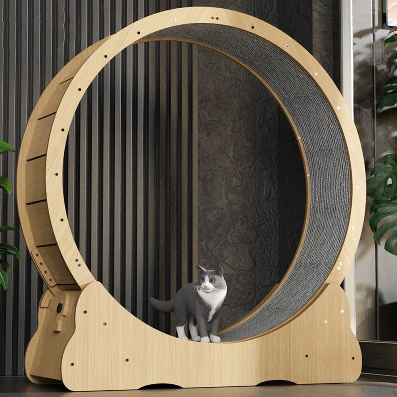 Katzen laufrad cat Wheel laufräder für Katzen Katzen laufrad drinnen Haustierfreundliches Katzenlaufband, Vier Größen erhältlich,L