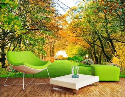 Herbst Wald Landschaft Grüne Wiese 3D Tapete Poster Restaurant Schlafzimmer Wohnzimmer Sofa TV Dekorative Wand-350cm×256cm