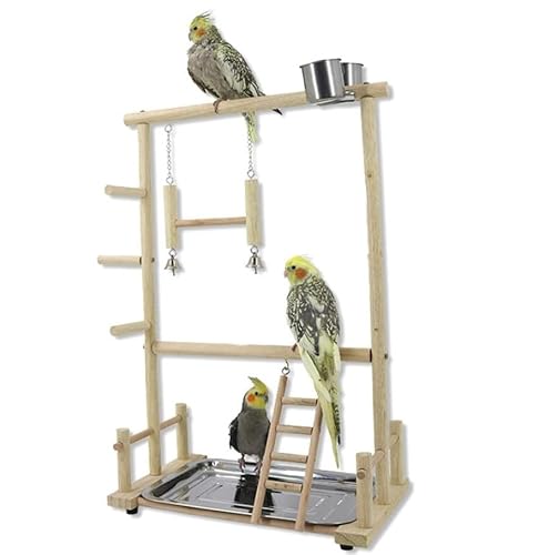 Papagei Spielplatz,Vögel Spielplatz,Stabilität Holz-Vogelspielständer Vögel Gym Vogelzubehör,Natürliches Massivholzmaterial,mit Feeder Cups Vogel Nymphensittich Spielzeug Übungsspiel