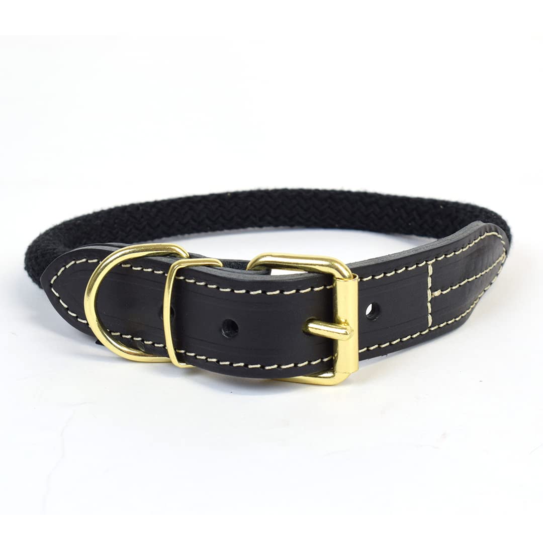 duvoplus, Explorer Forest Halsband Nylon XL – 56 – 64 cm / 14 mm Schwarz, Halsband, Schwarz, Hund